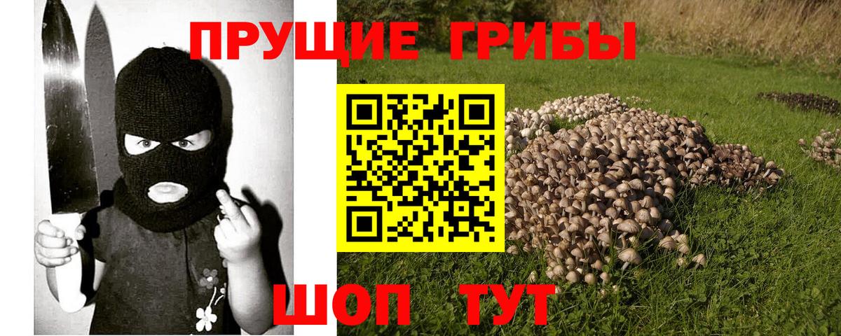 Псилоцибиновые грибы Psilocybe Назарово