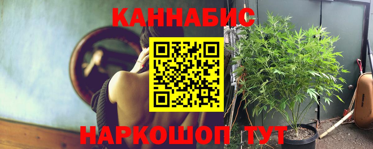 Конопля марихуана Назарово