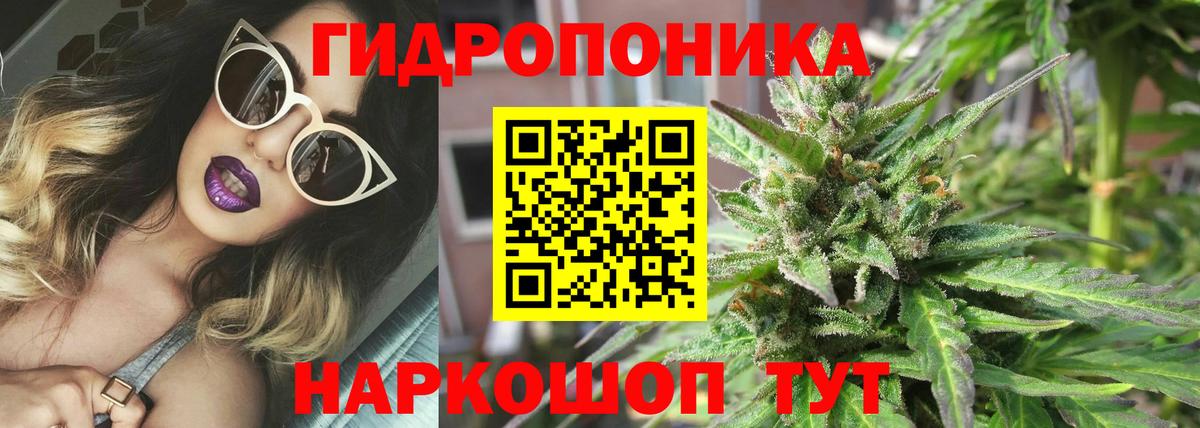 Назарово  Бошки марихуана индика  Конопля конопля  Вход с VPN  Конопля семена 